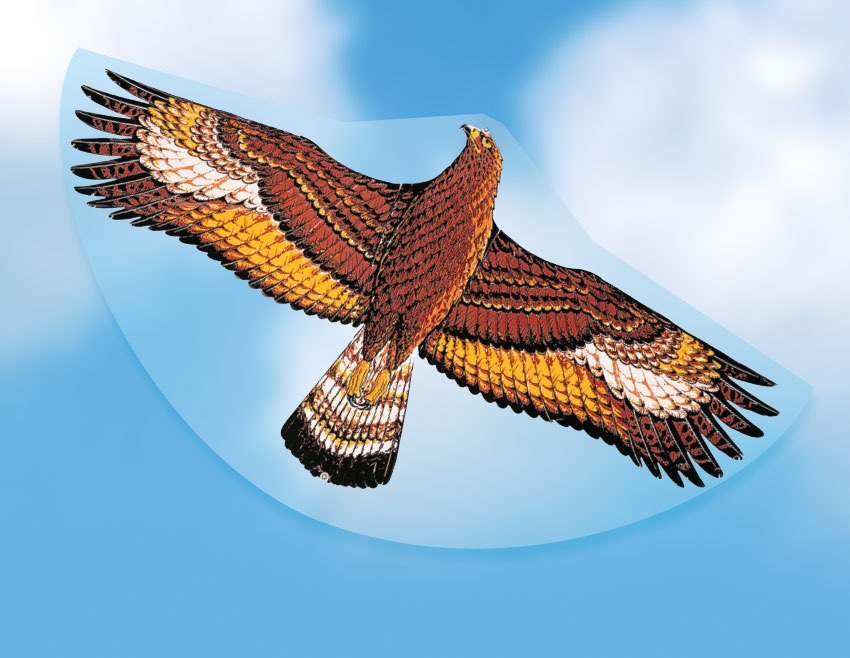 1146 Steinadler