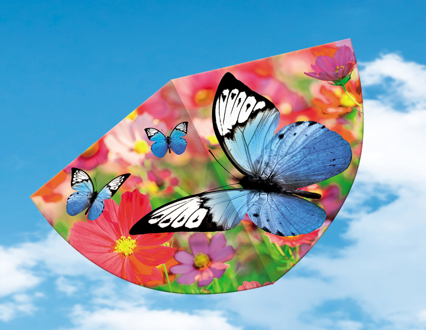 1176 Schmetterling