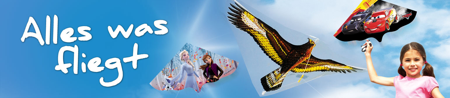 header_einleiner_drachen_folie2
