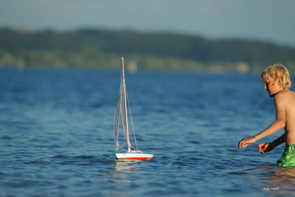 Albatros im Wasser